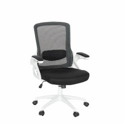 ALPHA HOME Bürostuhl Ergonomisch Schreibtischstuhl, Ergonomischer Computerstuhl Chefsessel mit Verstellbarer Kopfstütze,Lendenwirbelstütze, Armlehne,Wippfunktion bis 160kg belastbar(Weiß) Weiß-lendenwirbelstütze Ohne Kopfstütze