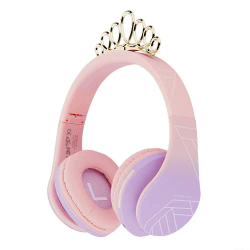Kinder Kopfhörer, PowerLocus KinderKopfhörer Bluetooth mit 85dB Lautstärkebegrenzung, Faltbar mit Tragetasche, Kopfhörer Over Ear Kabellose und Kabel mit Mikrofon, Micro-SD-Modus für Handy, PC, Tablet Princess