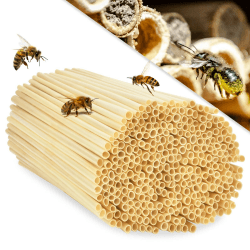 EKKONG 300 STK Nisthülsen für Insektenhotel, 14.5 cm lang Durchmesser 3-5 mm Nisthülsen für Wildbienen, Insektenhotel Füllmaterial, Weizenhalme füllung für Wildbienenhotel, Bienenhotel Nisthilfen 14.5cm