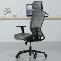 FLEXISPOT Bürostuhl Ergonomischer Schreibtischstuhl mit Großem Rückenlehnenbereich Höhenverstellbarer Sitz, Kopfstütze, Armlehnen, Lendenstütze, Rollen Arbeitsstuhl, OC3B Grau