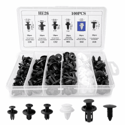 Fousenuk 100 Stück Befestigungsclips, Auto Befestigung Clips Universal, Kfz Clips 6 Arten Türverkleidung Clips Stoßstange Spreiznieten Karosserie Clips Kunststoffniete Befestigungssatz
