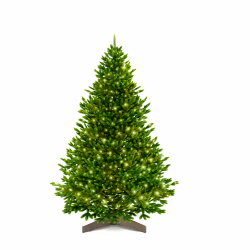 Weihnachtsbaum künstlich [100% Spritzguss] - Naturgetreuer Tannenbaum mit Stabiler Spitze | Premium Nordmanntanne inkl. FSC zertifiziertem Holzständer & reißfester Tasche (mit Beleuchtung, 210 cm) mit Beleuchtung 210 cm
