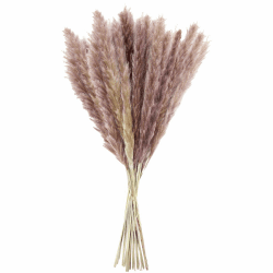 LEBEXY Pampasgras Getrocknet Trockenblumen Deko 15 Stück , Vasen Getrocknete Blumen 44cm, Blumenstrauß Boho Deko für Inneneinrichtung Schlafzimmer Wohnzimmer Balkon Badezimmer