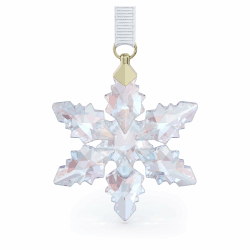 Swarovski Amazon Festtagsornament Amazon Ornament 2024 - Small