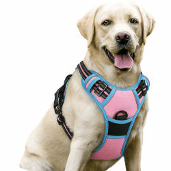 rabbitgoo Hundegeschirr Mittelgroße Hunde Anti Zug Geschirr Hund mit Kontrolle No Pull Verstellbar Hundegeschirr Grosse Hunde Atmungsaktiv Reflexstreifen Brustgeschirr Hund Sichere Führung Rosa+Blau L L (1er Pack) Rosa+Blau