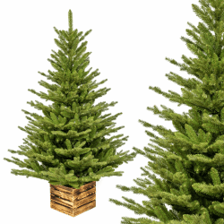 Premium Künstlicher Weihnachtsbaum 210 cm I Künstlicher Tannenbaum mit Holzkisten-Ständer I Zweige Imitieren Echten Baum I Mix aus Spritzguss & PVC I Dichte Nadeln I Tasche Inklusive I Made in EU