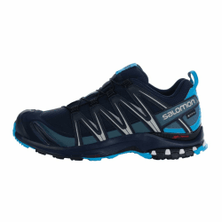 Salomon Herren Xa Pro 3D Gore-tex Traillaufschuhe 44 2/3 EU Navy Blazer Hawaiian Ocean Dawn Blue