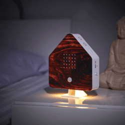 Northpoint Nature Sound Box Vogelgezwitscher Vogelgeräusche Box Motion Sensor Vogelgeräusche Licht Wiederaufladbar mit Wandhalterung Flammholz Cottage Geflammtes Holz Cottage