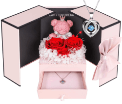 ADDWel Ewige Rose mit Damen Herz Halskette Silber 925, Skette mit Rote Infinity Rose Geschenke Box für Freundin, Geschenke für Frauen, Muttertag, Valentinstag, Weihnachtstag Rote Rose Sterling Silber