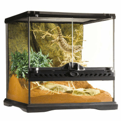 Exo Terra Terrarium aus Glas, mit einzigartiger Front Belüftung, 30 x 30 x 30cm schwarz 30x30x30cm