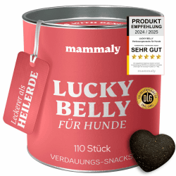 mammaly Lucky Belly Probiotika Hunde-Leckerli 325g - Verdauungssnacks für Magen Darmflora Aufbau (bei Durchfall, Sodbrennen & Gras fressen) Alternative zu Heilerde, Kohletabletten als leckere Snacks 325 g (1er Pack)