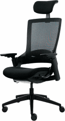 Ergotopia NextBack | Ergonomischer Bürostuhl gegen Rückenschmerzen | Mit integrierter Lordosenstütze | Zusätzliche Kopfstütze gegen Nackenschmerzen - 5 Jahre Garantie Schwarz