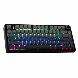 EPOMAKER x Aula F75 Gasket Mechanische Tastatur, 75% Hot swap-fühige Gaming-Tastatur mit Fünf-Schicht-Polsterung&Knopf, Bluetooth/Wireless/USB-C, RGB (Black Ombre, LEOBOG Reaper Switch) LEOBOG Reaper Switch Black Ombre