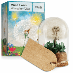 Inovida Pusteblume im Glas : Echte Pusteblume als Glücksbringer – Kleines Geschenk mit Grußkarte – Dankeschön Geschenk – Aufmunterung Geschenke – Dankeschön Geschenke Klein – Glücksbringer Prüfung Wunscherfüller Kugel