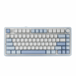 EPOMAKER x Aula F75 Gasket Mechanische Tastatur, 75% Hot swap-fühige Gaming-Tastatur mit Fünf-Schicht-Polsterung&Knopf, Bluetooth/Wireless/USB-C, RGB (Sea Salt Blue, LEOBOG Reaper Switch) LEOBOG Reaper Switch Sea Salt Blue