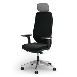 Ergotopia® MasterBack Executive ergonomischer Bürostuhl mit 3D Neigungsmechanik - Premium Schreibtischstuhl Made in Germany mit Lordosenstütze, Synchronmechanik & verstellbaren 5D Armlehnen Executive Schwarz
