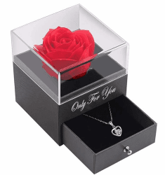 LOZACHE Handgefertigte konservierte Rosen Geschenk Box für sie, Geschenke für Frauen für Weihnachten, Valentinstag, Muttertag, Jahrestag, Geburtstagsgeschenk für Mutter, Schwester, Ehefrau