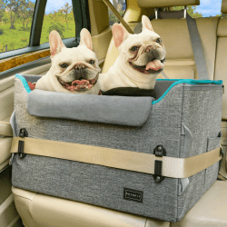 Petsfit Hundeautositz Hundesitz mittlere Hunde, Autositz Hundesitz Auto Rückbank Beifahrersitz sicherer Stabiler mit Sicherheitsgurt-Halteclip und Plüschkissen für mittlere Hunde bis zu 12kg, Grau M Grau