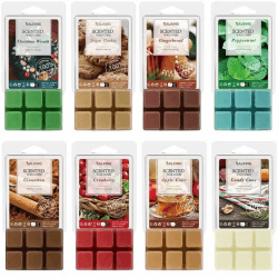 SALKING Winter Duftwachs Wax Melts für Duftlampe, 100% Sojawachs Raumduft Duftkerze, Wax Melts für Kerzen Wärmer, Weihnachtskranz und Lebkuchen Düfte Geschenk Set für Halloween, Weihnachten, 8 Düfte