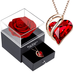 Ewige Rose Box,Infinity Rosen mit Rubin Kette,Konservierte Rote, Echte,925 Sterling Silber Damen Kristall Herz Halskette,Frauen Anhänger Geschenk am Valentinstag,Weihnacht,Muttertag Rote Rose Robin Kette