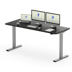 FLEXISPOT Höhenverstellbarer Schreibtisch Basic 160x80cm - Einteilige Tischplatte - Ergonomisches Sitz-Stehpult mit einfacher Bedienung (Schwarz, Graues Gestell) 160 x 80 cm Schwarz+grau Gestell