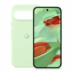 Google Pixel 9 (256GB,WtrGn,EU/UK)+Pixel 9/9 Pro Case, Wintergreen Wintergreen 256GB mit case