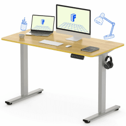 FLEXISPOT Elektrisch Höhenverstellbarer Schreibtisch (140 x 80 cm) Einteilige Tischplatte, 2-Fach-Teleskop, Sitz- & Stehpult mit Memory-Steuerung (ahorn, grau Gestell) 140 x 80 cm M-ahorn+grau Gestell