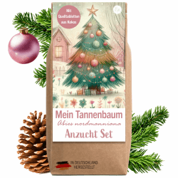 Little Plants Weihnachtsbaum Anzuchtset - Weihnachtsbaum 2030 I als Adventskalender Füllung, Wichtelgeschenk I Weihnachtsbaum in der Dose I Adventskalender befüllen Inhalt I Tannenbaum Geschenk Set 1 Pastell