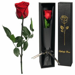 Yamonic Infinity Rose Rot mit Stiel Geschenke für Frauen,Echte Rose Geburtstagsgeschenk für Frauen Ewige Rose in Geschenkbox,Konservierte Blume zum Weihnachten Mama, Deko Geschenk,Geschenke für Mama 1 1-rot