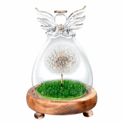 Geschenke für Frauen, Wunscherfüller, Echte Pusteblume im Glas Engel Figuren, Geburtstag, Valentinstag, Hochzeit, Muttertag, Weihnachten Geschenke für Mama Oma Freundin Schwester Mädchen Geschenke