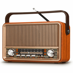 PRUNUS J-120 AM/FM/SW Retro Radio Klein, Kofferradio mit 1800mAh Akku, oder AC-Strom, Küchenradio Nostalgie Radio mit Bluetooth, Unterstützt USB/TF/AUX Funktion, Einfaches Radio für Senioren. Gold