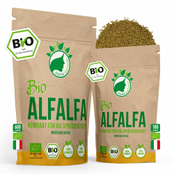 Bio Alfalfa Sprossen Samen 600g VORTEILSPACK | Keimfähige Alfalfasamen zur Sprossenzucht | Microgreens fürs Sprossenglas | geprüft & abgefüllt in Deutschland 600g Bio Alfalfa Samen