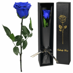 Yamonic Infinity Rose Blau mit Stiel Geschenke für Frauen,Echte Rose Geburtstagsgeschenk für Frauen Ewige Rose in Geschenkbox,Konservierte Blume zum Weihnachten Mama, Deko Geschenk,Geschenke für Mama 1 4-blau