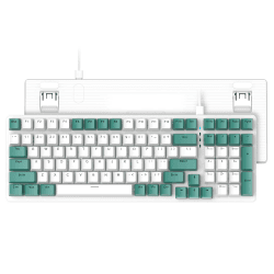 Ziyou LANG K3 Mechanische Tastatur, Abnehmbarer USB C kabelgebundener Mechanical Blue Switch, Beleuchtet, LED-beleuchtet, Gaming-Tastatur, Kompakte 100 Tasten mit Number Pad, PC-Gaming-Tastatur grün, blauer Schalter