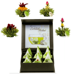 Creano 6 Teeblumen Geschenkbox grüner Tee in edler Magnetbox mit Silberprägung - 4 verschiedene Sorten Grüner Tee Teelini 6 Stück (1er Pack)