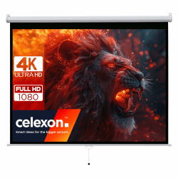 celexon Basic Rollo-Leinwand 100" | 200x150 cm 4:3 | ausziehbare Full-HD 4K Beamer-Leinwand für Heimkino oder Büro-Präsentationen | Projektionsleinwand geeignet zur Deckenmontage oder Wandmontage 4:3 | 100" Zoll | 200x150 cm Rollo-Leinwand | Serie: basic