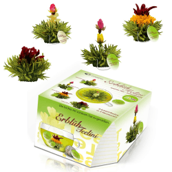 Creano Teeblumen Variation im exklusiven Tassenformat "ErblühTeelini" - 8 Teeblüten in 4 verschiedenen Sorten (Grüner Tee)