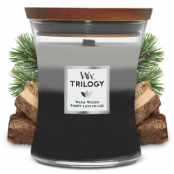 Mittelgroße WoodWick Trilogy-Duftkerze im Sanduhrglas mit Pluswick-Innovation, Warm Woods