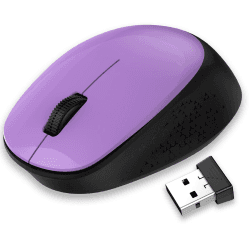 LeadsaiL Maus Kabellos, 2.4G Wireless Maus Leise mit USB Empfänger, 1600 DPI Optical Tracking, 3 Tasten Mäuse, Für Links- und Rechtshänder, Kompatibel mit PC, Mac, Laptop, Windows - Lila
