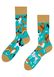 Dedoles Socken Unisex Damen Herren & Kinder Baumwolle viele lustige Designs Fussball Fahrrad Pferde Pflanzen Feuerwehr Geschenk links rechts verschieden 39-42 Hundefreunde
