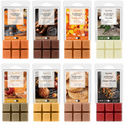 SALKING Herbst Duftwachs Wax Melts für Duftlampe, 100% Sojawachs Raumduft Duftkerze, Wax Melts für Kerzen Wärmer, Kürbisgewürz und Zimt Düfte Geschenk Set für Halloween, Weihnachten, 8 Düfte