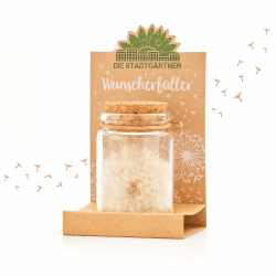 Die Stadtgärtner – 10x Wunscherfüller I Echte Pusteblume im Glas I Ewig haltbar I Perfekte Geschenkidee für jeden Anlass I Geschenk zu Geburtstag, Hochzeit, Muttertag, Ostern etc. Großer Wunscherfüller 10 Stück