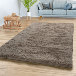 Teppich Wohnzimmer Hochflor Langflor Weich Soft Modernes Einfarbiges Design, Farbe: Beige Taupe, Größe:160x220 cm 160x220 cm Beige Taupe