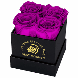 MestectPET Rosenbox mit 4 Infinity Rosen, Lila Ewige Rose Konservierte Blumen Geschenkbox, Valentinstag Muttertag Geburtstag Hochzeitstag Geschenke Für Mutter Freundin Ehefrau Oma Frauen