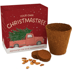 Weihnachtsbaum Anzuchtset als Adventskalender Füllung - Mini Geschenk als Idee für den Adventskalender für Frauen und Männer - Nordmann-Tanne zum selber Pflanzen Truck