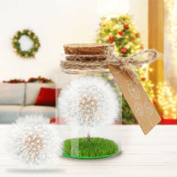 RANJIMA Wunscherfüller Weihnachten, Pusteblume im Glas, Ewig haltbare Pusteblumen Pusteblume Geschenk für Geburtstag Hochzeit Valentinstag Muttertag Jubiläen Jugendweihe für Frauen Freundin Mädchen Weiß