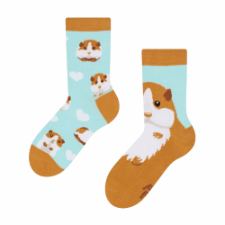 Dedoles Socken Unisex Damen Herren & Kinder Baumwolle viele lustige Designs Fussball Fahrrad Pferde Pflanzen Feuerwehr Geschenk links rechts verschieden 35-38 Meerschweinchen