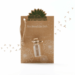 Die Stadtgärtner – 24x Kleiner Wunscherfüller I Echtes Pusteblumen-Schirmchen im Glas I Ewig haltbar I Perfekte Geschenkidee für jeden Anlass I Geschenk zu Geburtstag, Hochzeit, Muttertag, Ostern etc. Kleiner Wunscherfüller 24 Stück