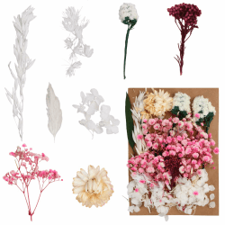 Natürliche Echte Getrocknete Gepresste Blumen, Set DIY Gemischte Trockenblumen zum Basteln, Natural Real Dried Pressed Flowers für Kunst DIY Harz Scrapbooking Handwerk Karten Machen