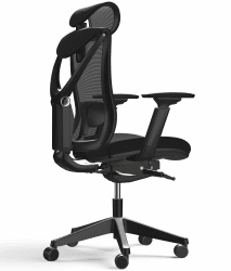 Desktronic Verstellbarer ergonomischer Bürostuhl | Schreibtischstuhl mit Lendenwirbelstütze - rückenfreundlich- Computerstuhl höhenverstellbar & rückenschonend - breites Polster SitPro (Schwarz)
